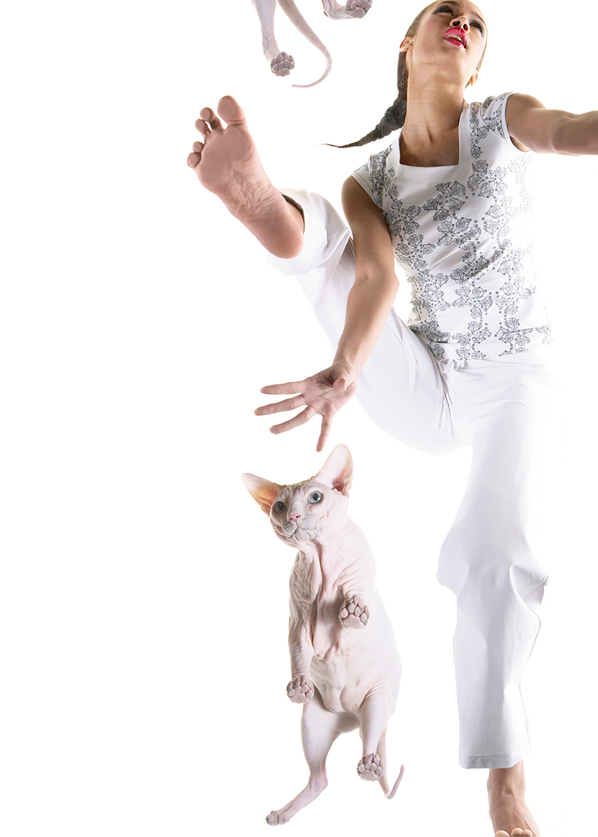fashion/6d